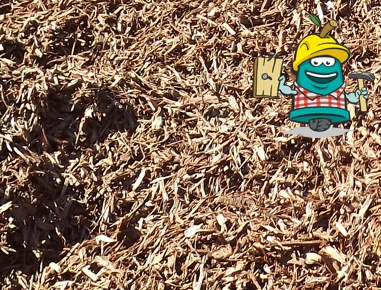 Lorem Ipsum is simply dummy text of the printing and typesetting ndustry.