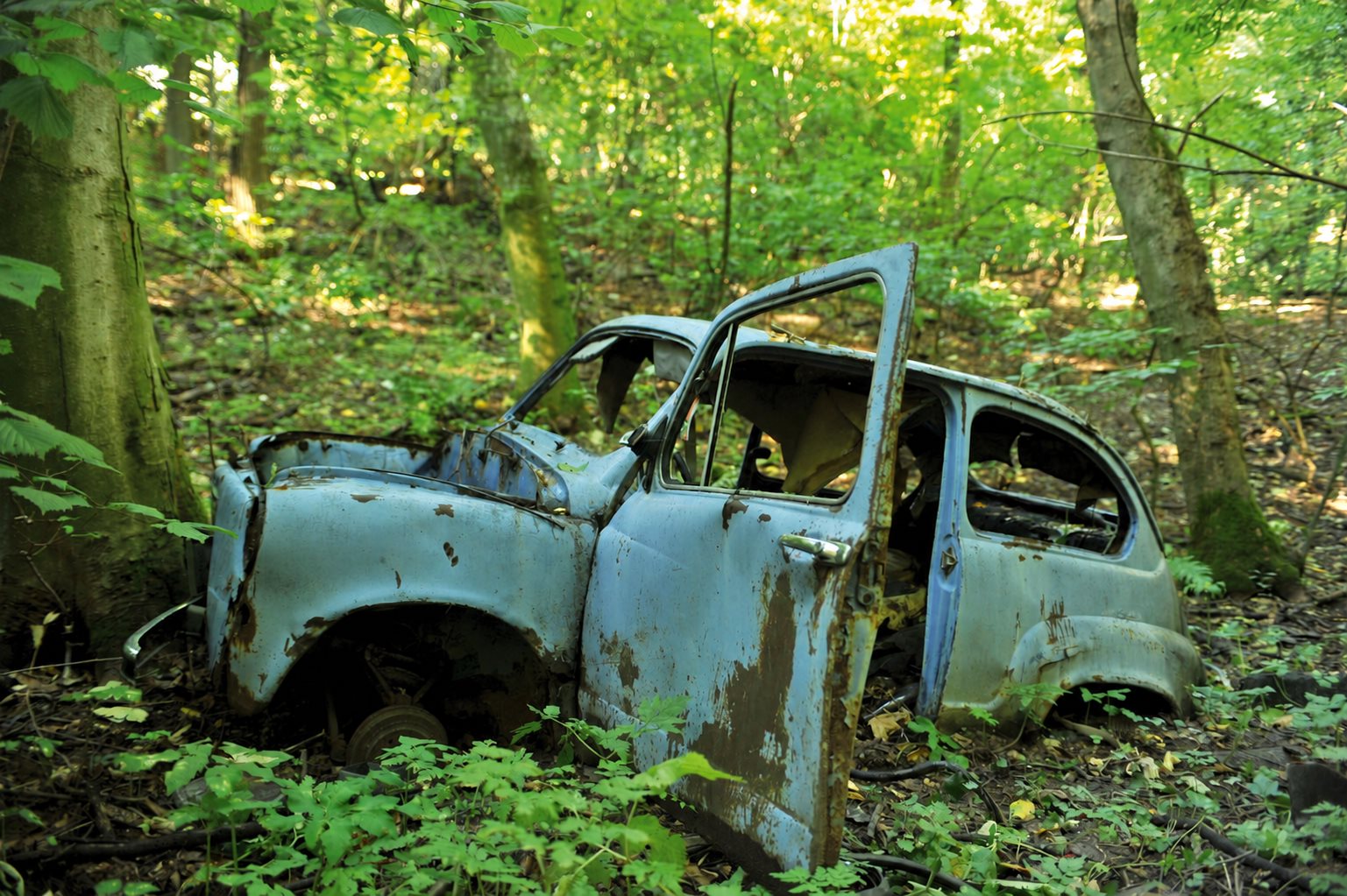 Odbačena automobilska olupina među stablima u šumi
